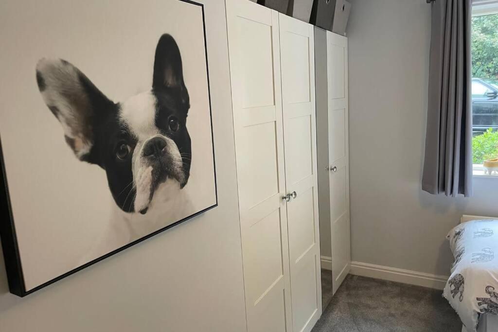 Apartment 2 Bedroom 2 Bathroom Luxury 1 Minute From Pet Friendly Free Parking